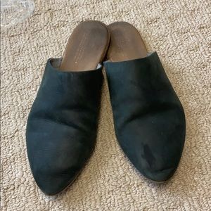 Toms mules